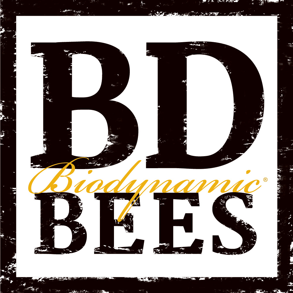 BDBees Logo